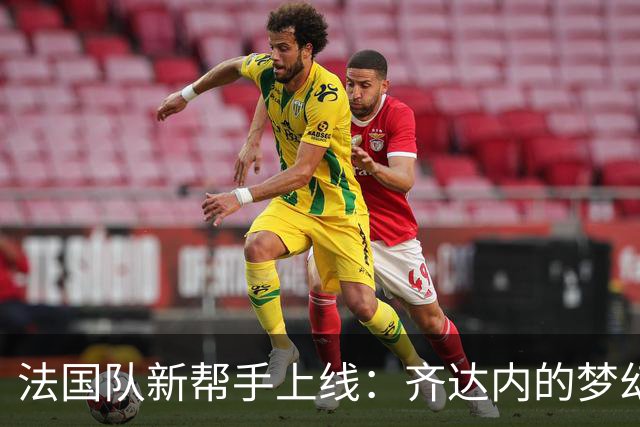 法国队新帮手上线：齐达内的梦幻新军！
